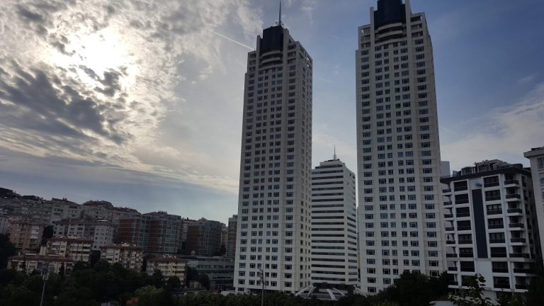 selenium_towers