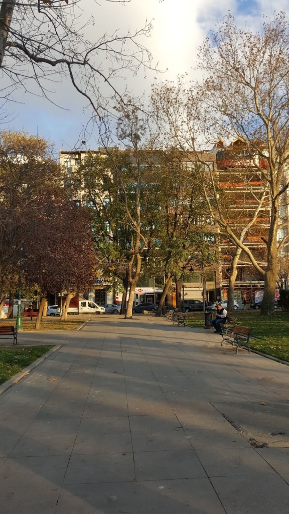 Taksim gezi parkı