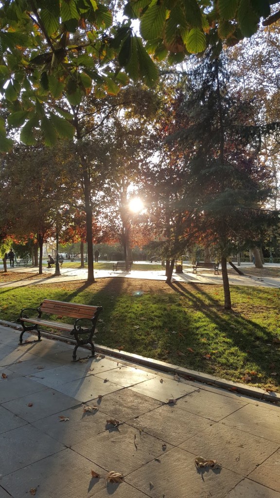 Taksim gezi parkı