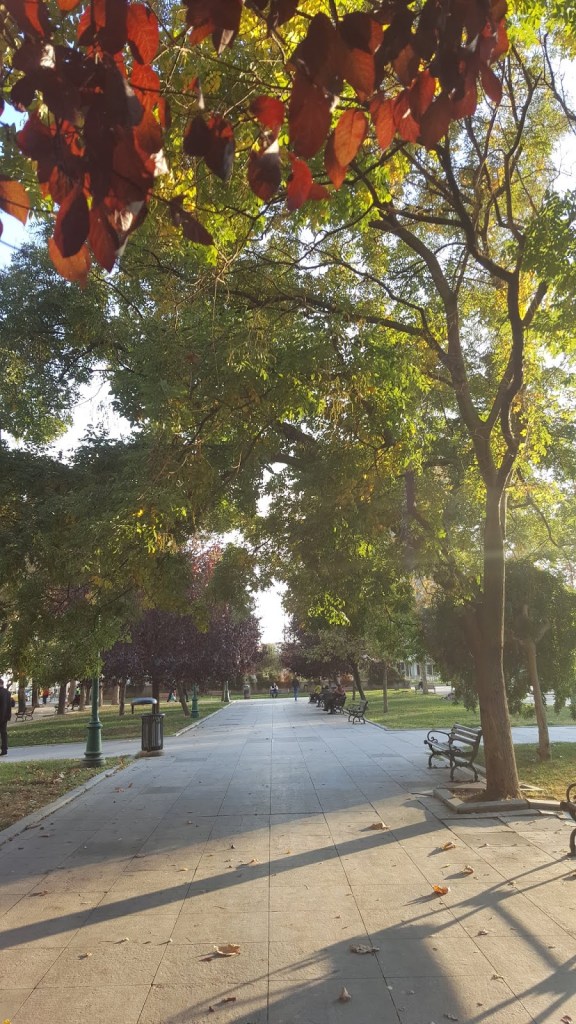 Taksim gezi parkı