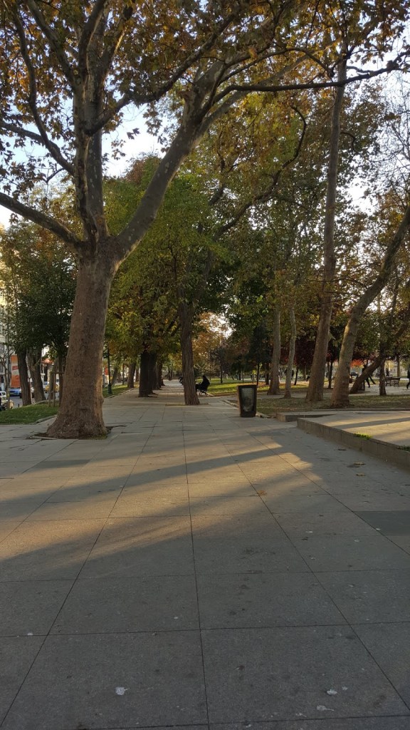 Taksim gezi parkı