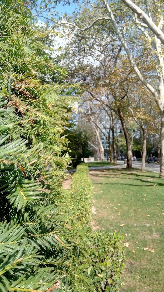 Taksim gezi parkı