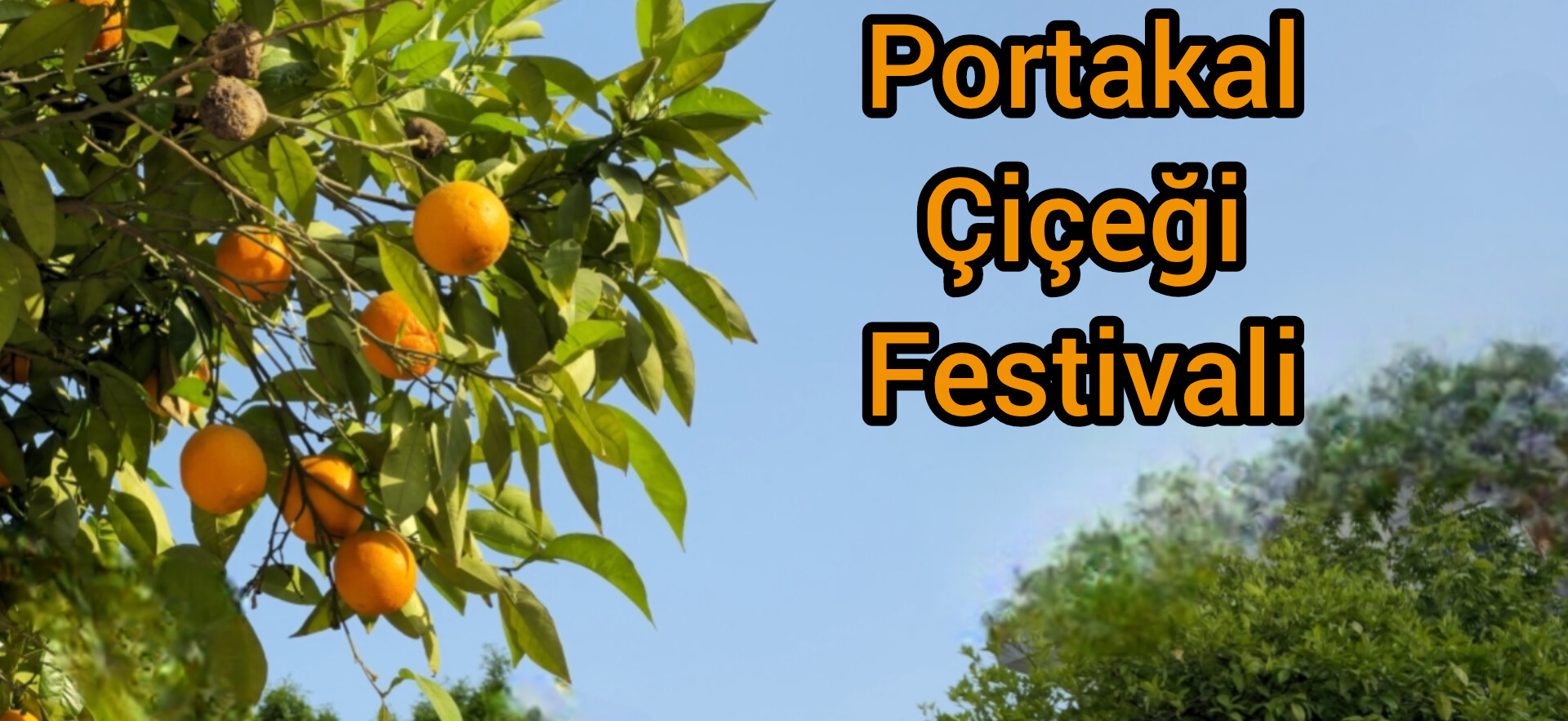 Adana portakal çiçeği festivali