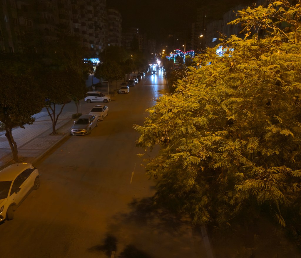 Gece çekimi yapılan bir sokak görüntüsü, park edilmiş araçlar ve ağaçlar ile ışıkların olduğu bir arka plan.