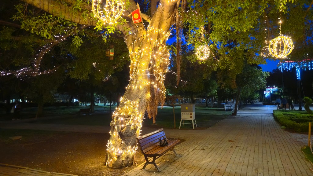 Ağaca sarılmış ışıklarla dekore edilmiş bir park manzarası, gece vakti huzurlu bir atmosfer yaratıyor.