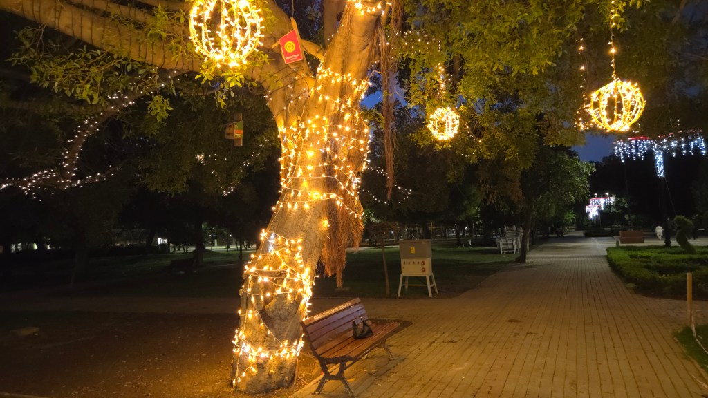 Gece çekiminde, ışıklarla süslenmiş bir ağaç ve çevresindeki park alanı.