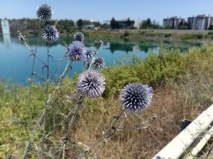 IMG_20260629_121350_182